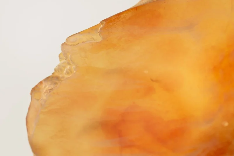 20260403_TWLV_Amber-Amsterdam_HiRES_Stills_Amber_Amsterdam_CLOSE_02_v001-1200×800